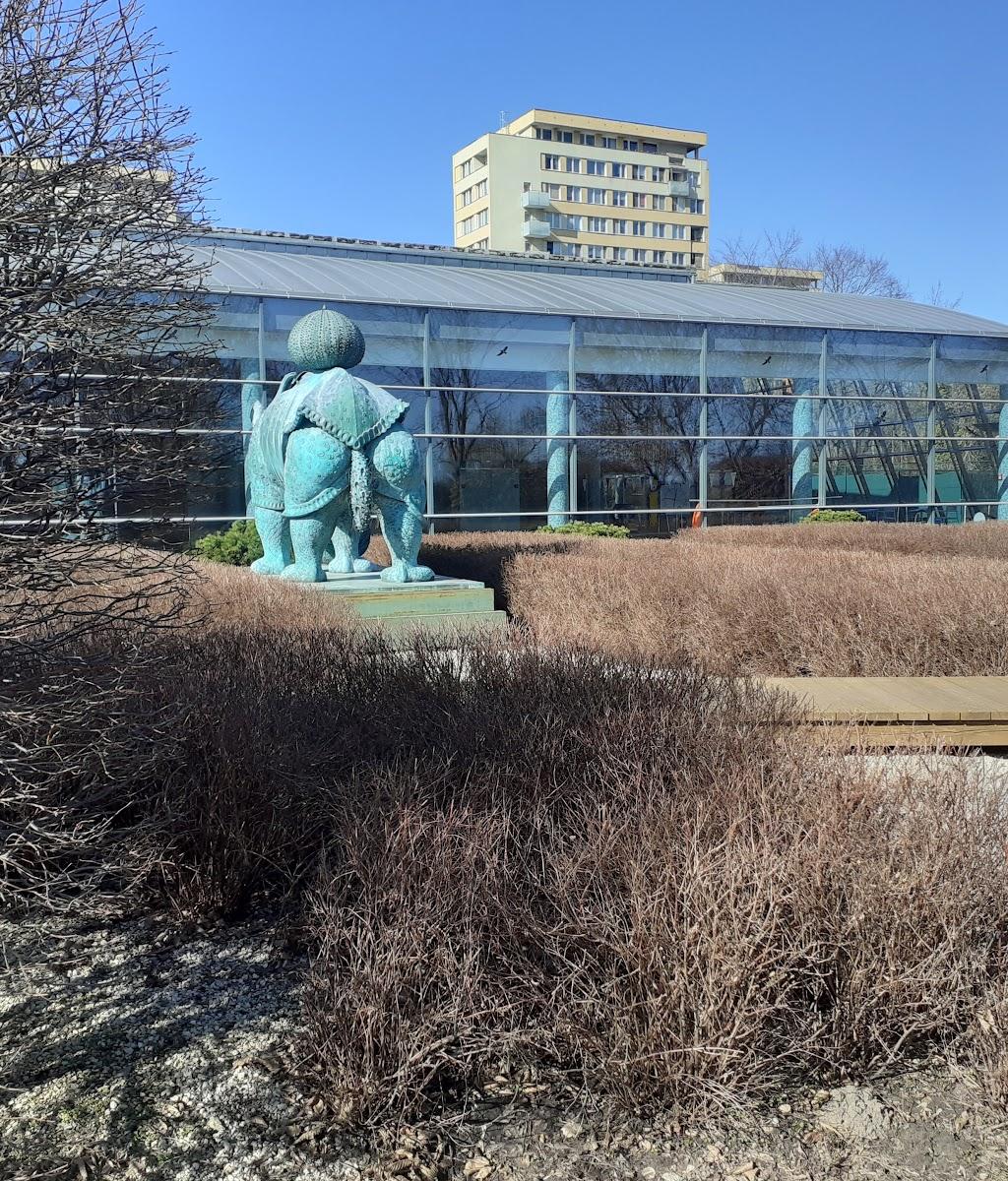 Sinnet Squash Club — kort Squash w Warszawie