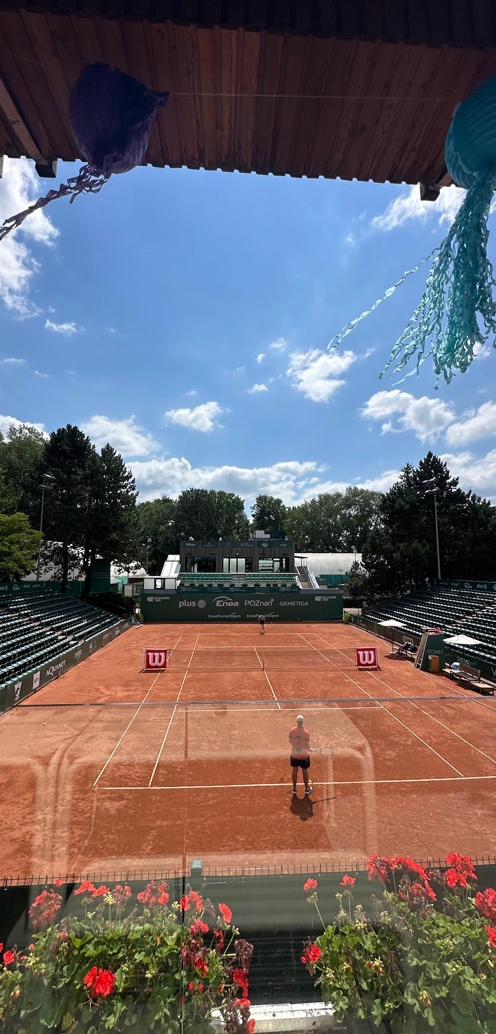 Park Tenisowy Olimpia — kort Tenis w Poznaniu