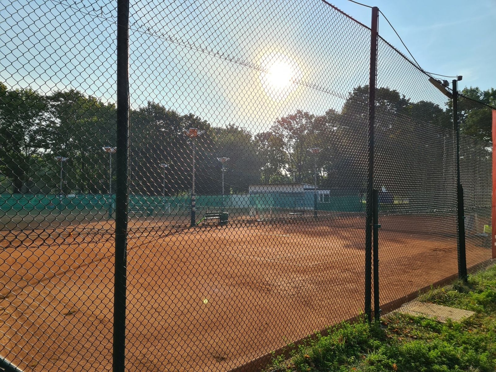 AM Tenis — zdjęcie kortu