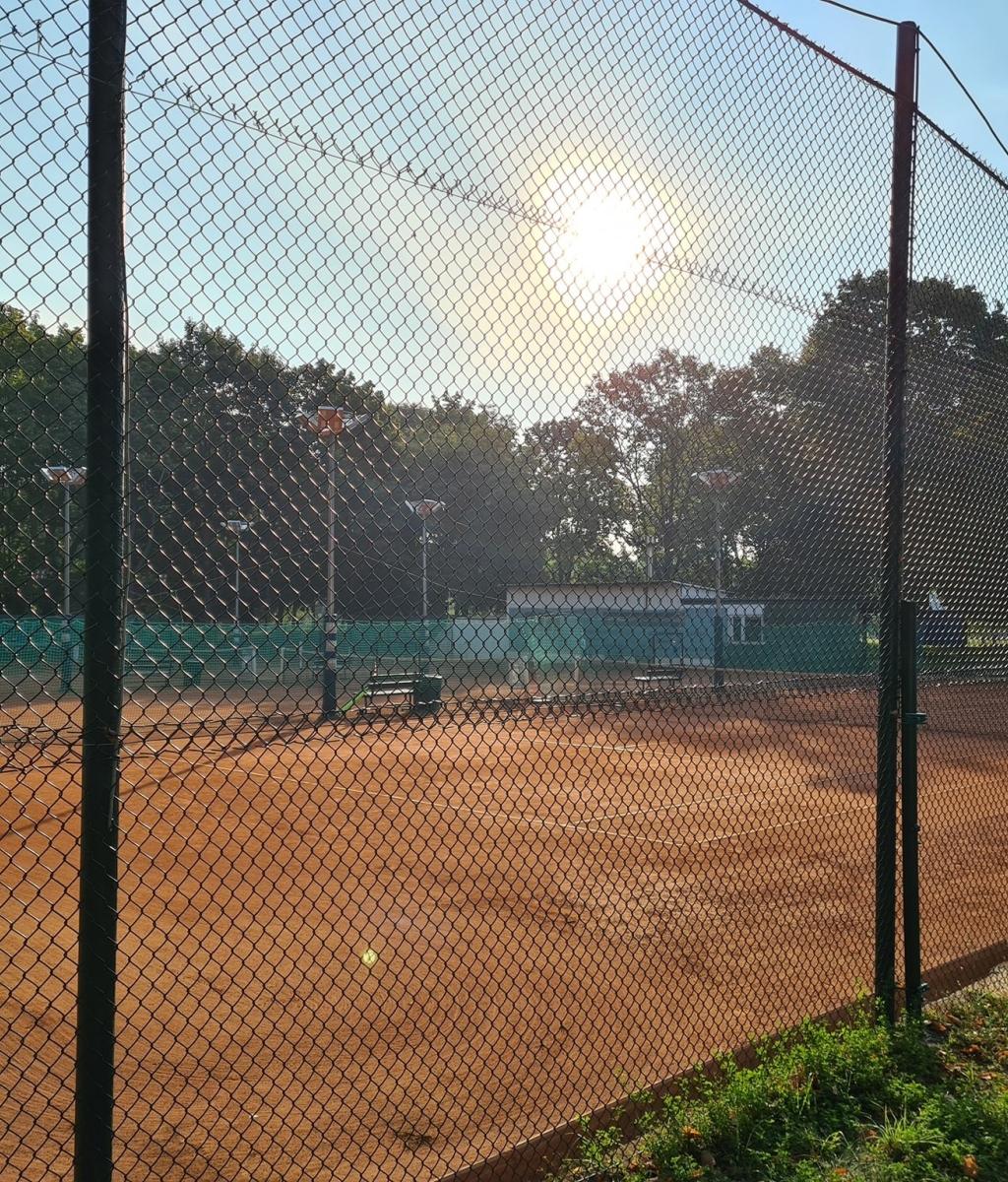AM Tenis — kort Tenis w Warszawie