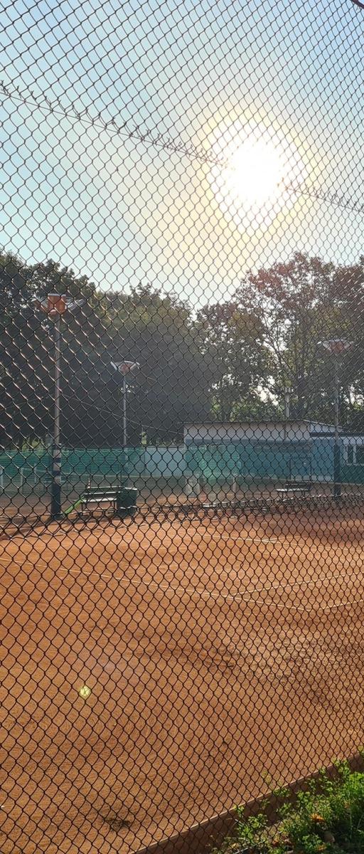 AM Tenis