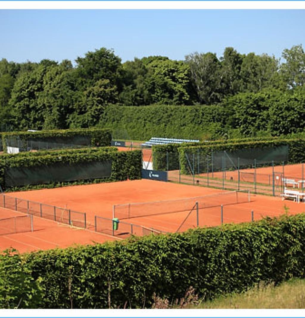 KT Arka — kort Tenis w Gdyni