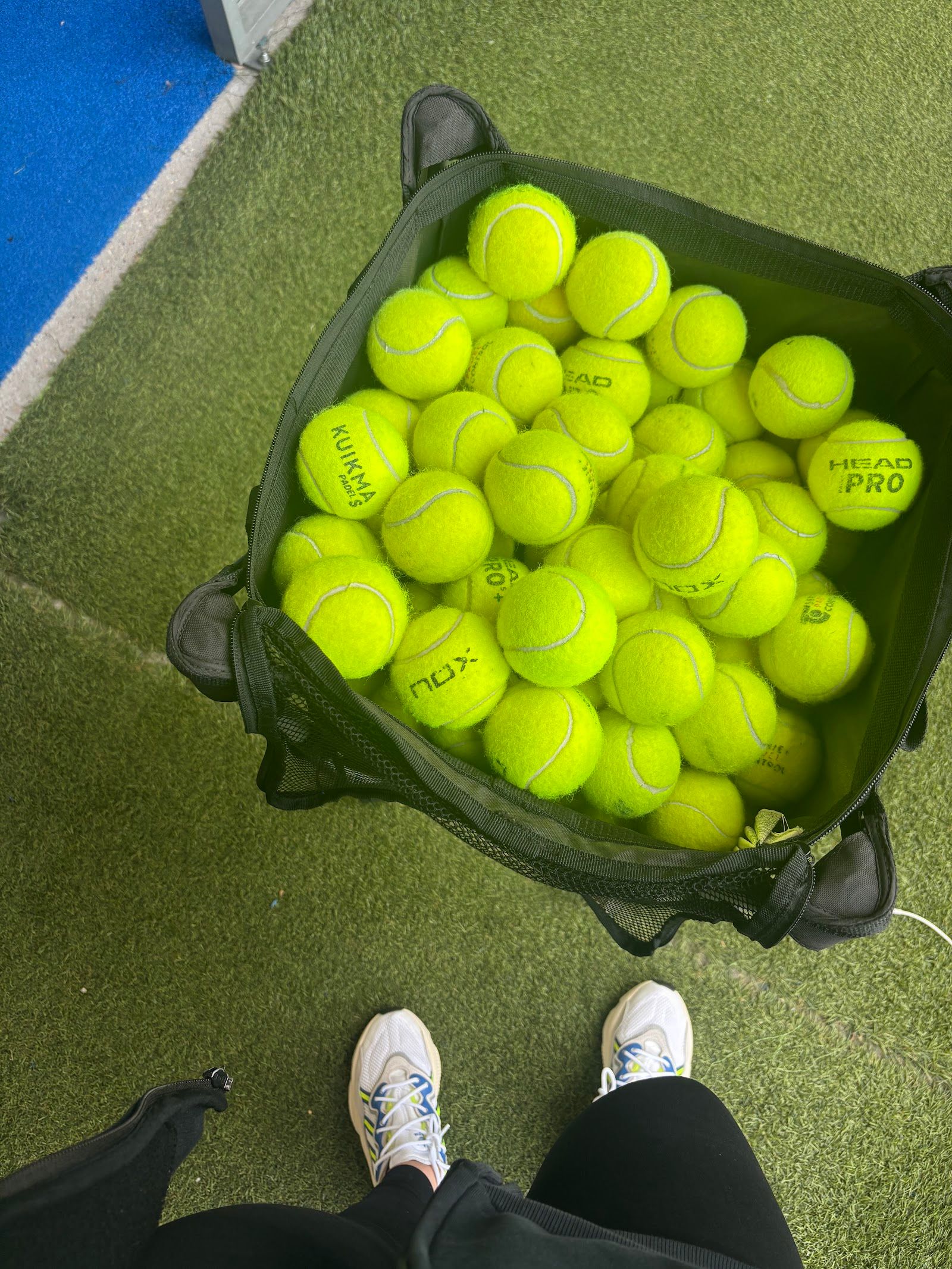 GDYNIA PADEL CLUB — zdjęcie kortu