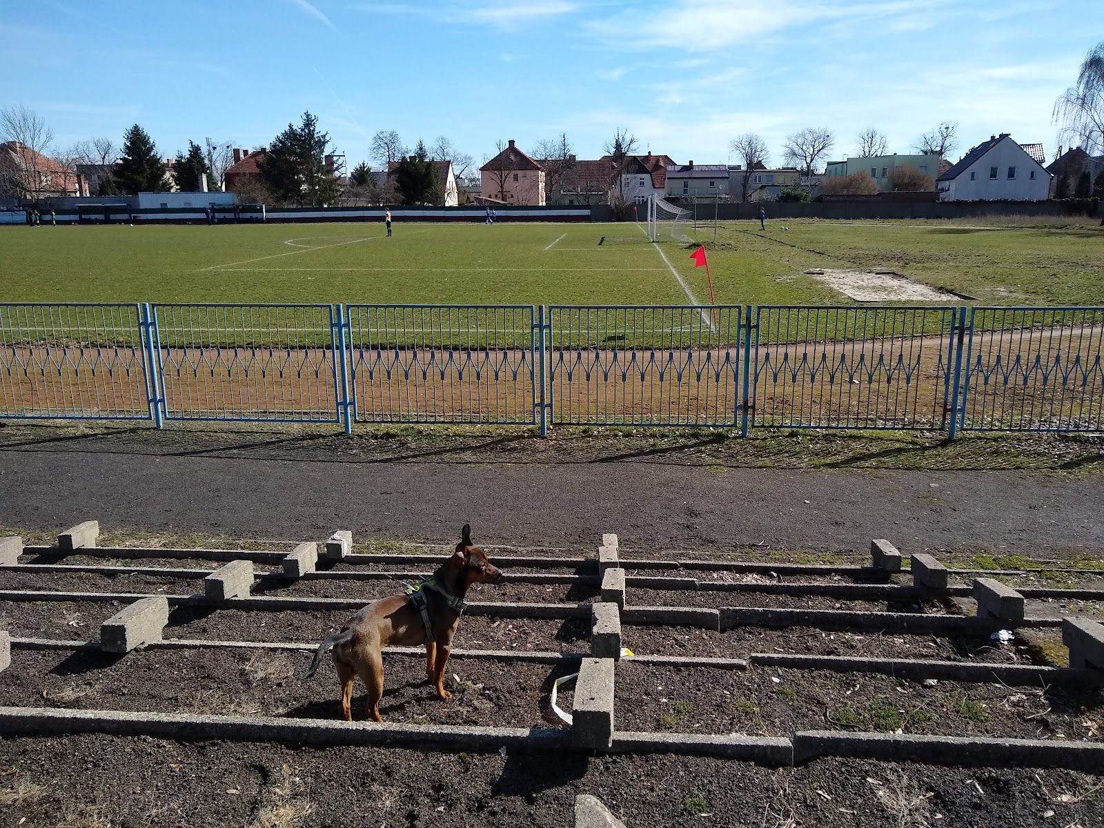 Leśnica Sport Center — zdjęcie kortu