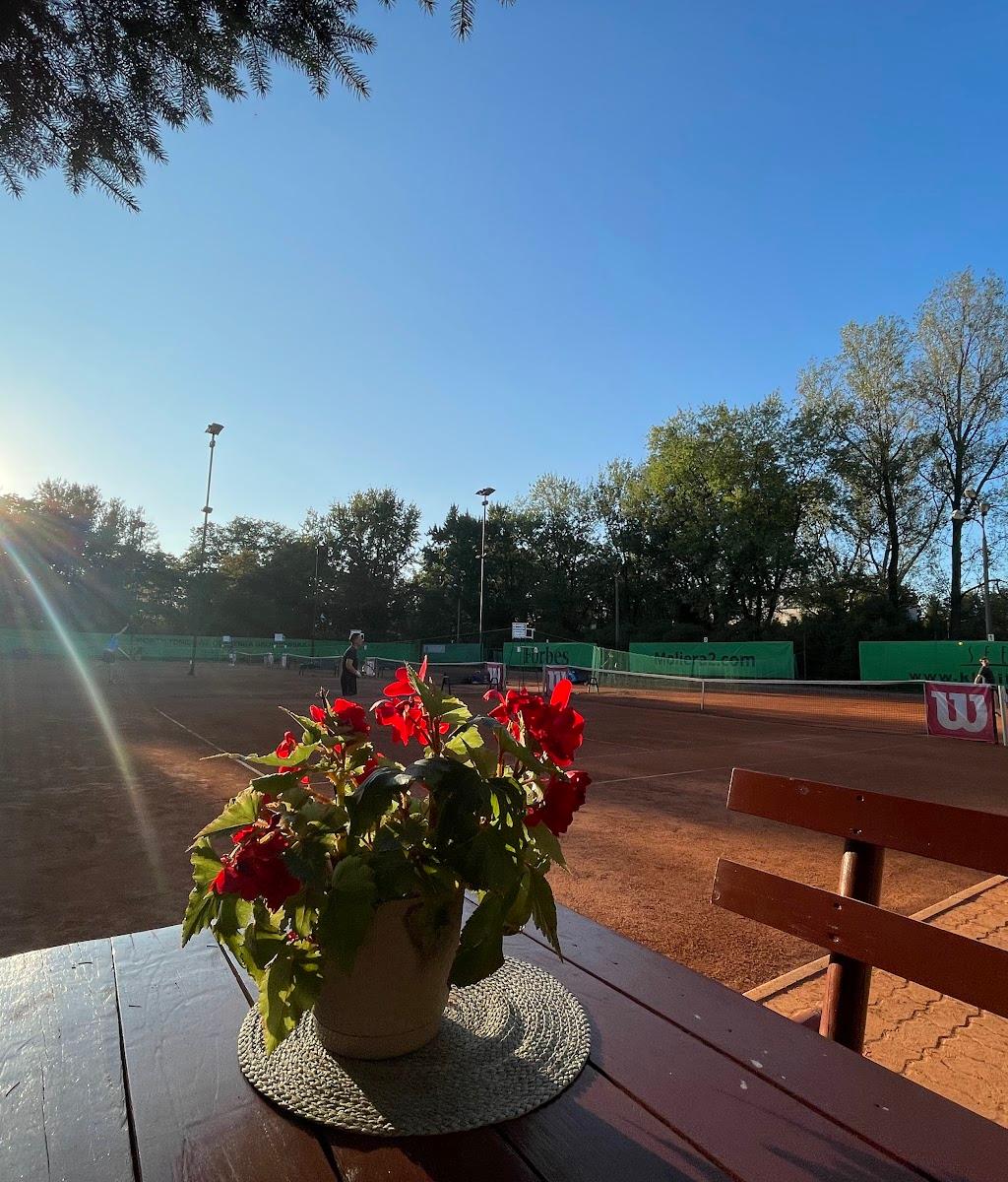 TKKF Olszynka — kort Tenis w Warszawie