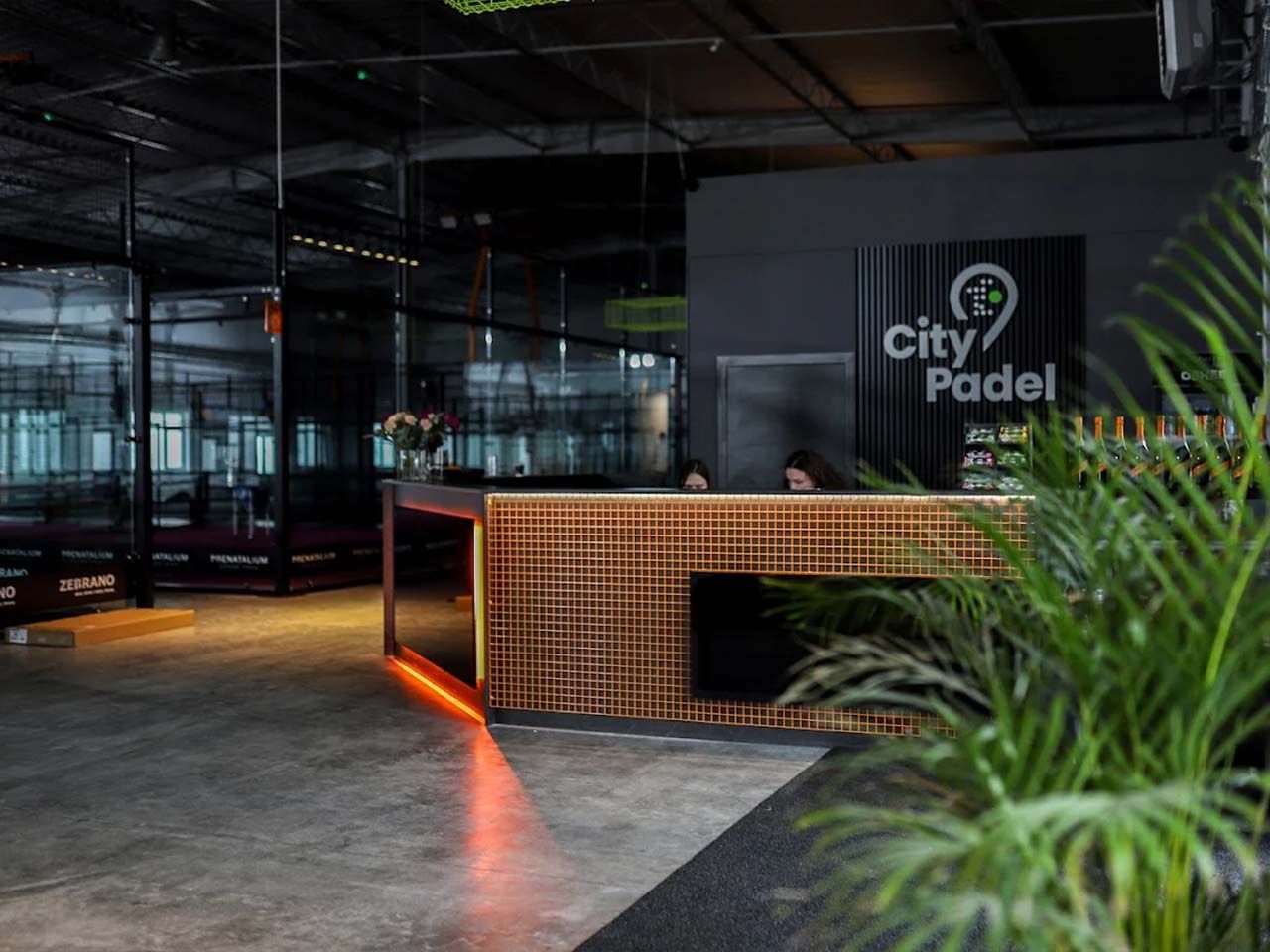 City Padel Toruń — zdjęcie kortu