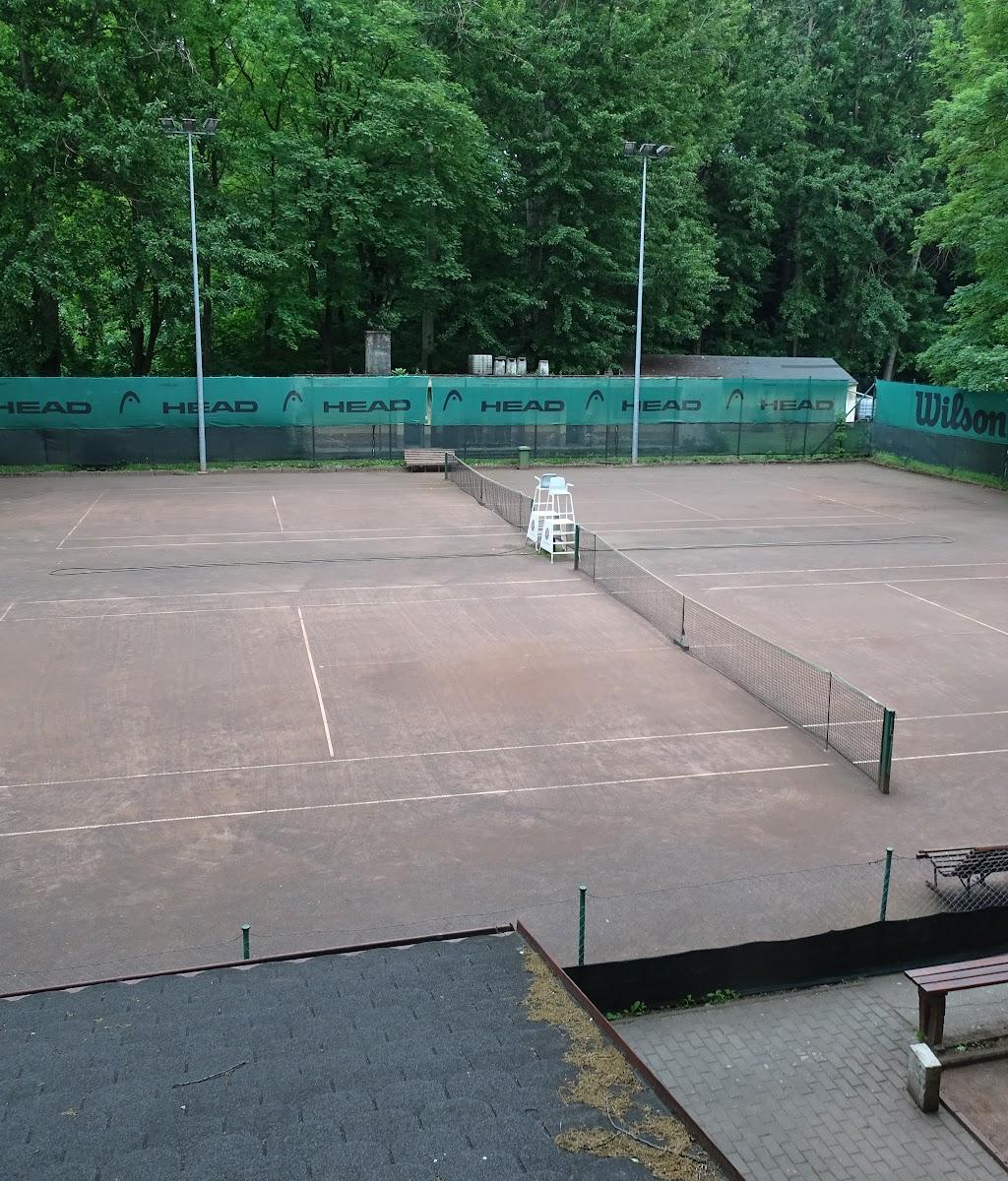 Głuchołaskie Towarzystwo Tenisowe — kort Tenis w Głuchołazy