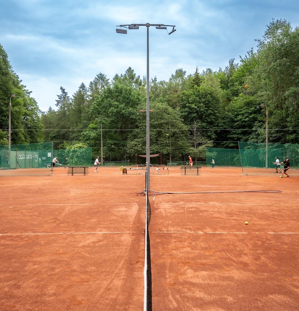 Korty Tenisowe Podleśna — kort Tenis w Gdańsk - Wrzeszcz