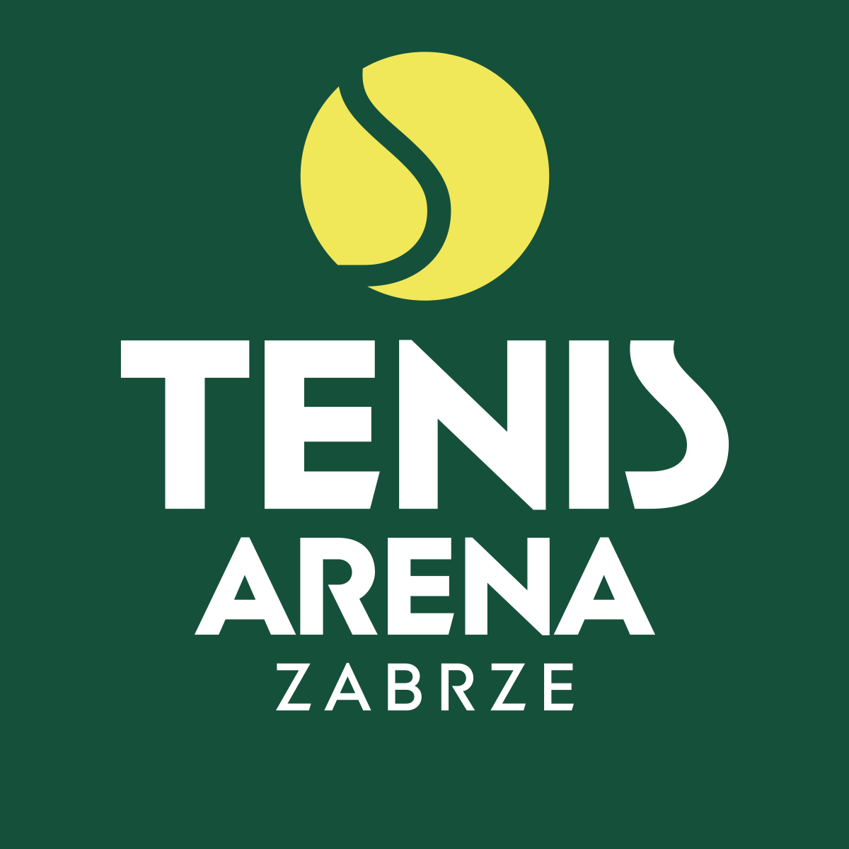 Tenis Arena Zabrze — zdjęcie kortu